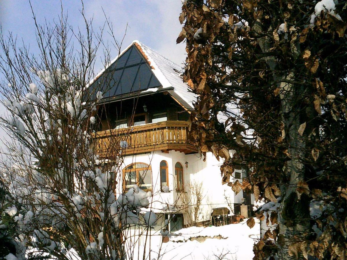 Ferienwohnung Haus Barbara Bräunlingen エクステリア 写真